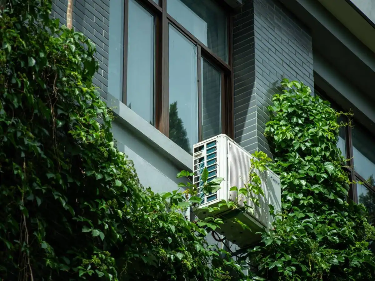 Energy-Efficient Windows in Palm Coast, FL